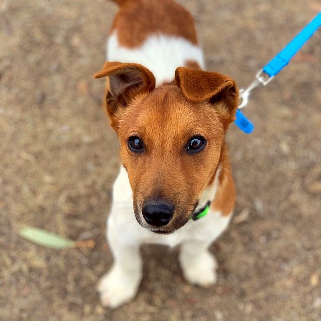 Photo of Tilly 
