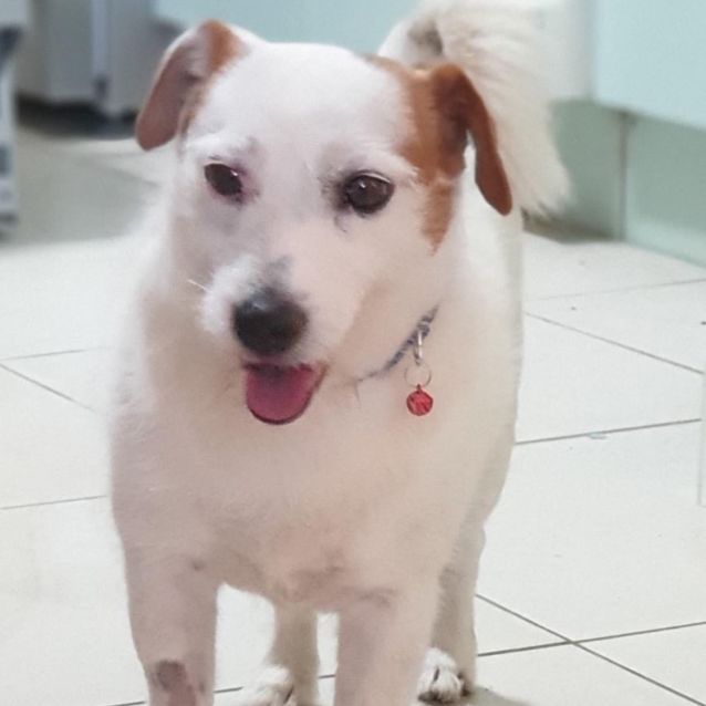 Photo of Sammie