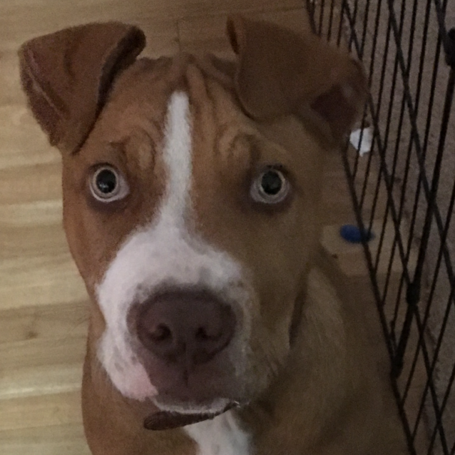 Photo of Zeus 