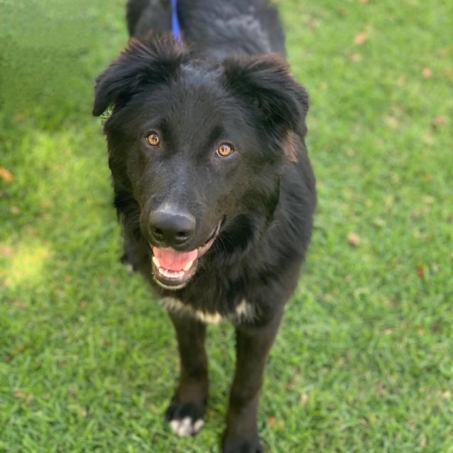 Photo of Alfie