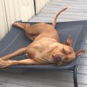 Photo of Sugar ** Dear Girl Waiting Patiently **