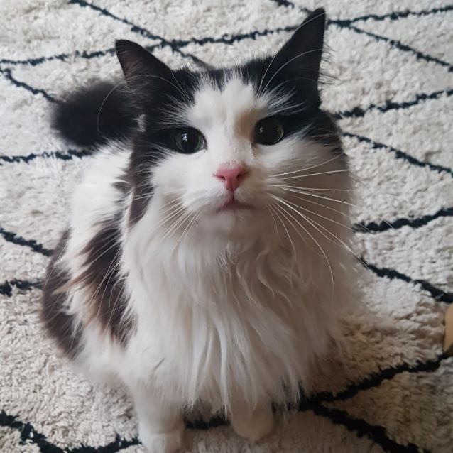 Photo of Lonnie   Located In Richmond