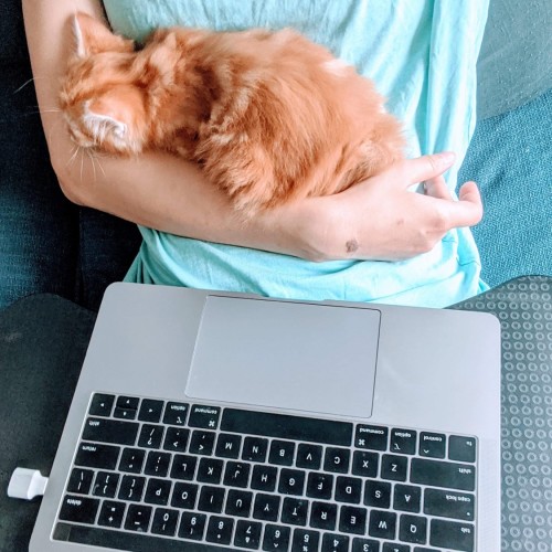 Cuddles 