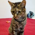 Photo of Tina