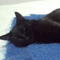 Photo of Boo Located In Preston