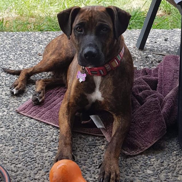 Photo of Keesha
