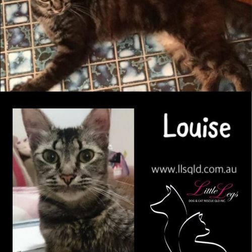 Louise