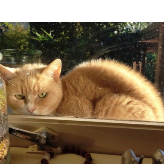 Photo of 💕💕💕Twiggy💕💕💕