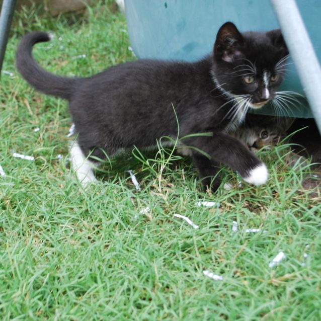 Photo of Jack