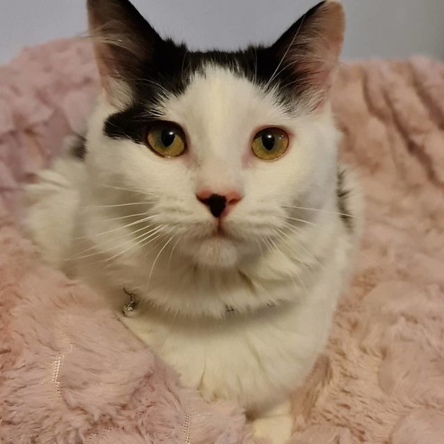 Photo of Clary (Located In Narre Warren South)