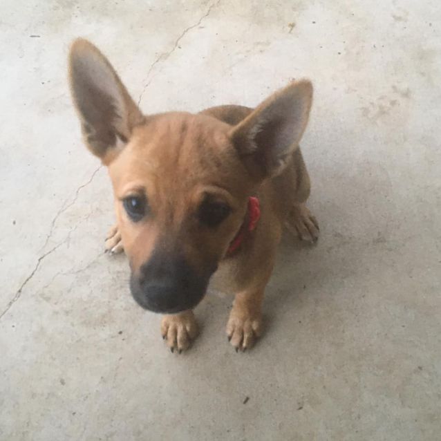 Photo of Wilma