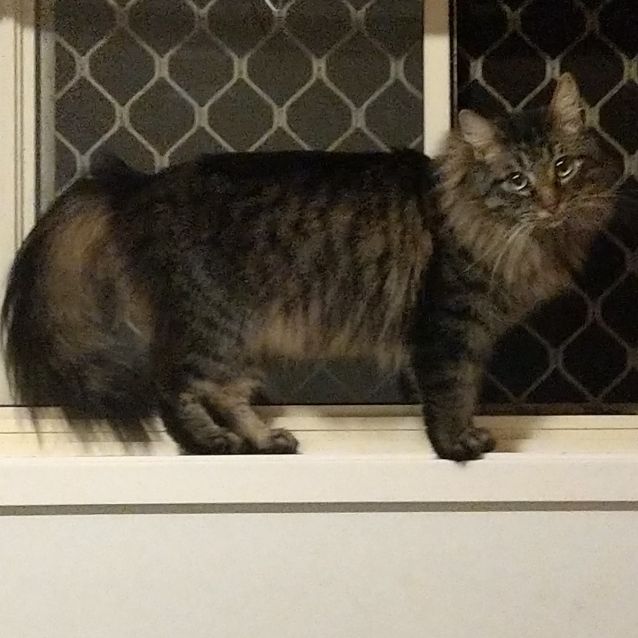 Photo of Winston