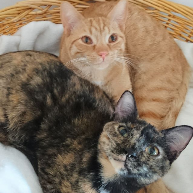 Photo of Oden And Olympia 