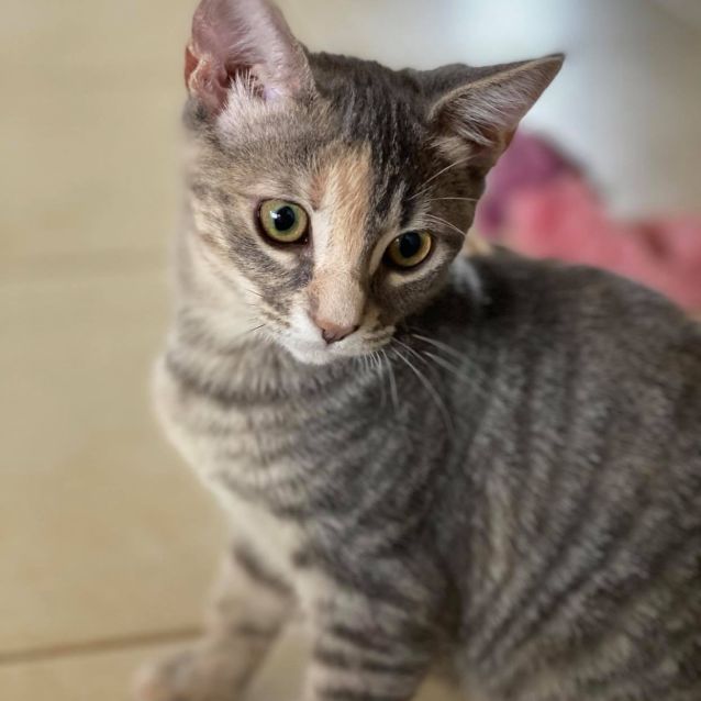Photo of Misha