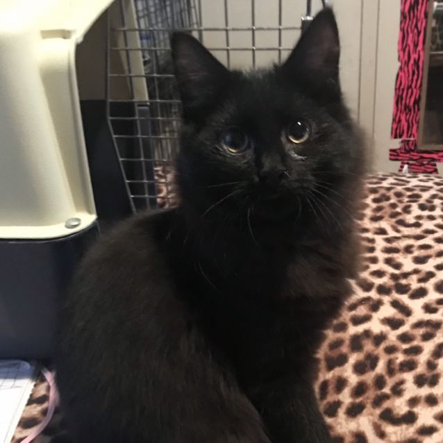 Photo of Prada