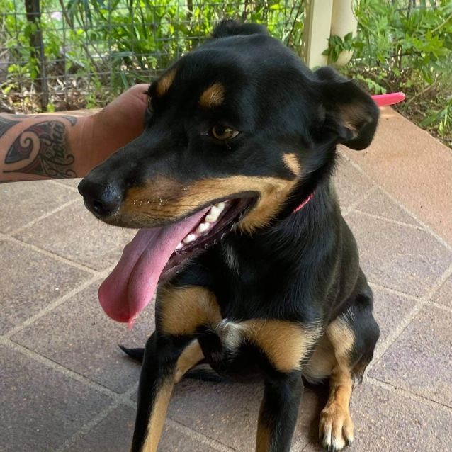 Photo of Mae