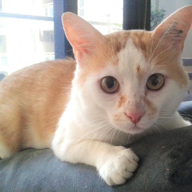 Photo of Terrific Ty