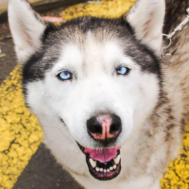 Photo of Lucy