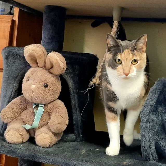 Photo of Iggy So Pretty!