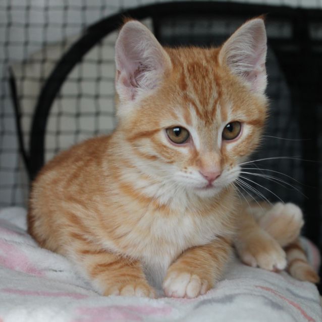 Photo of Marlu