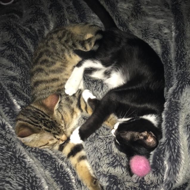 Photo of Alex. Gentle Little Soul <3