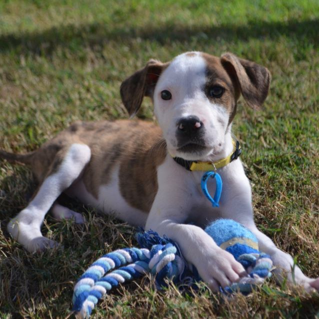 Photo of Sugar
