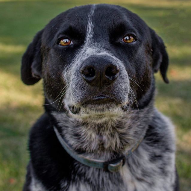 Photo of Socks