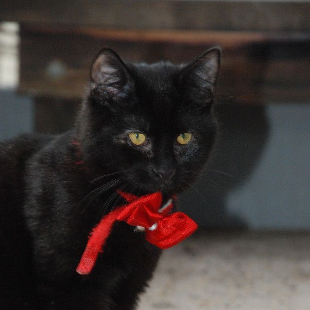 Photo of Tennyson~Best Friend For Life