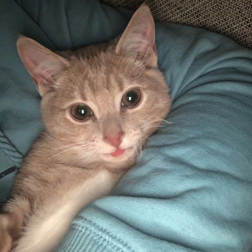 George