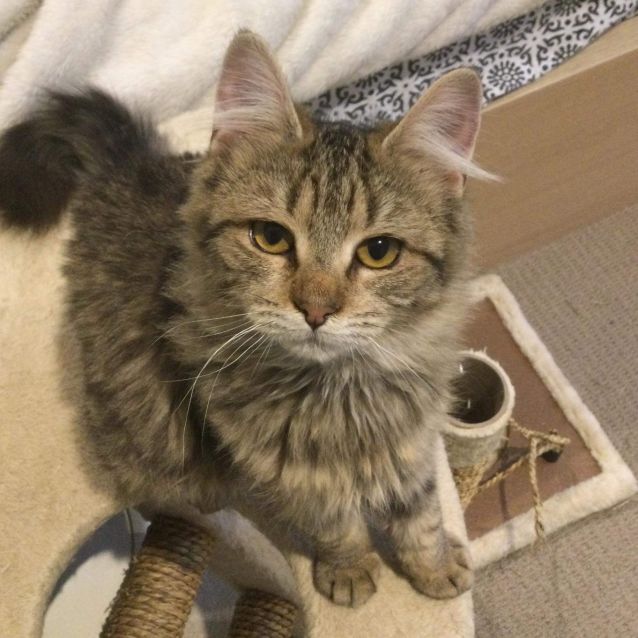 Photo of Lizzie