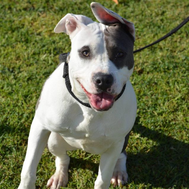 Photo of Chance Dl1676