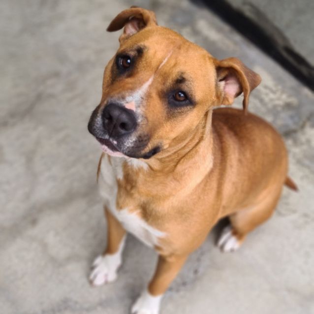 Photo of Thelma