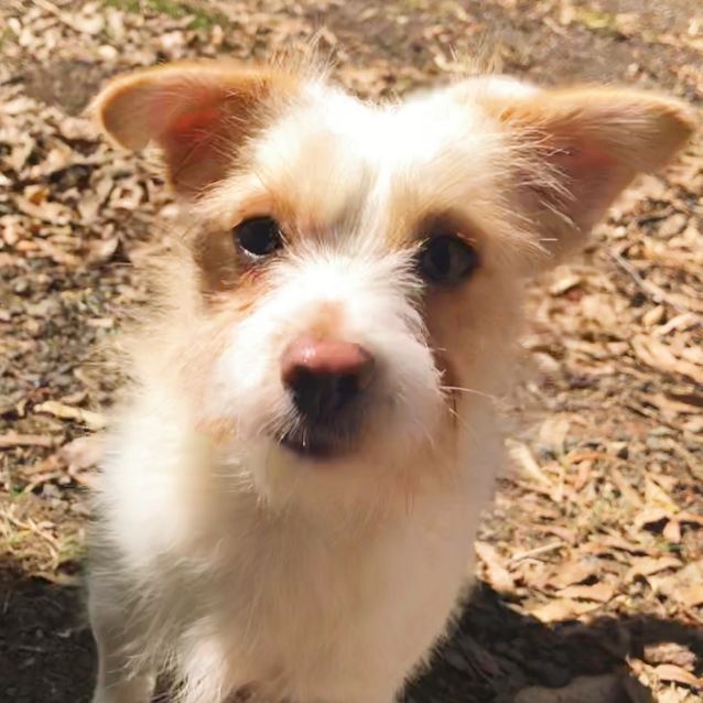 Photo of Little Man