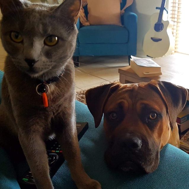 Photo of Freya Db546