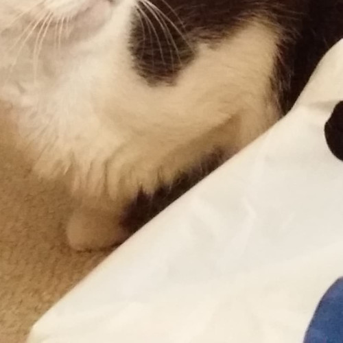 Mickey