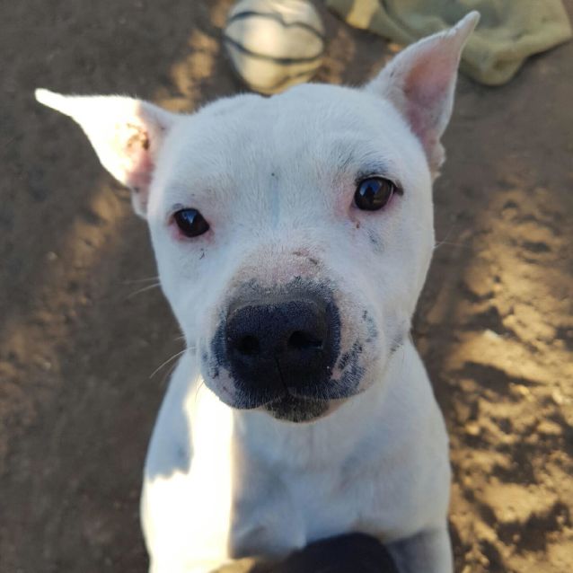 Photo of Ghost