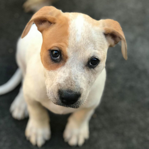 Chloe 