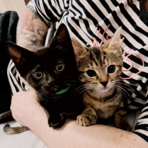 Isabella and Zoe ❤❤