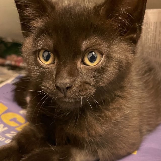 Photo of Theo