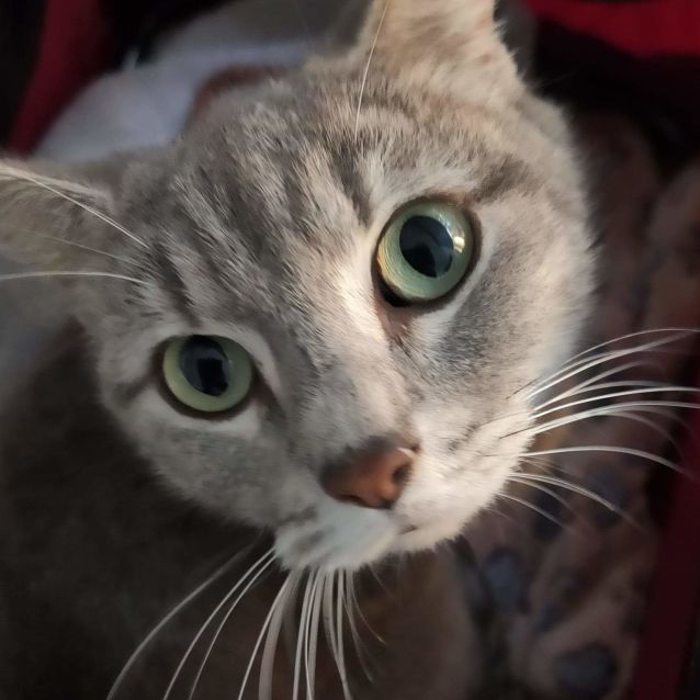 Photo of Nellie
