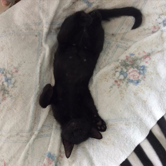 Photo of Matilda