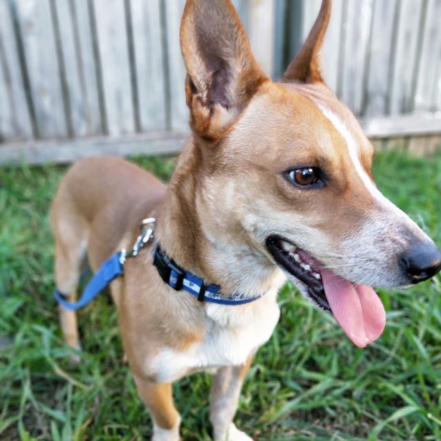 Photo of Yogi