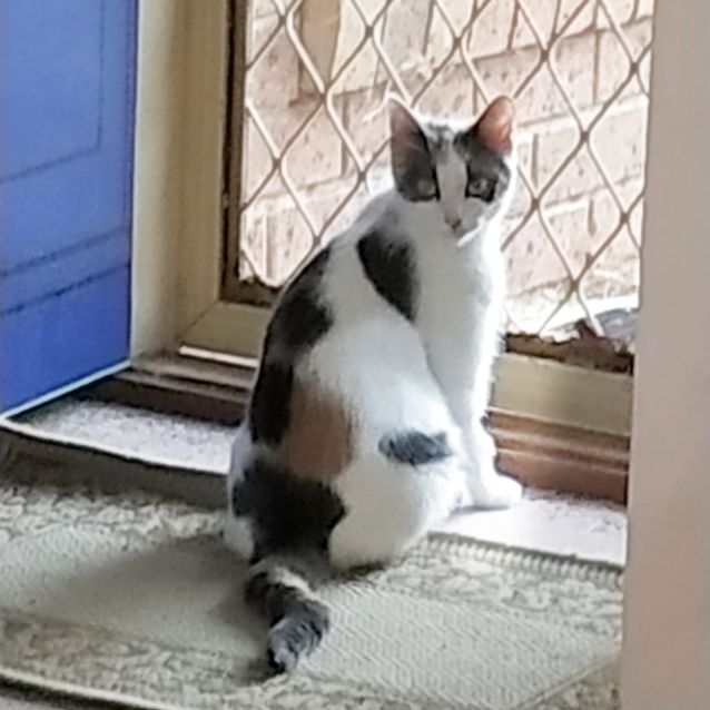 Photo of Karen