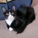 Photo of Mr Magoo