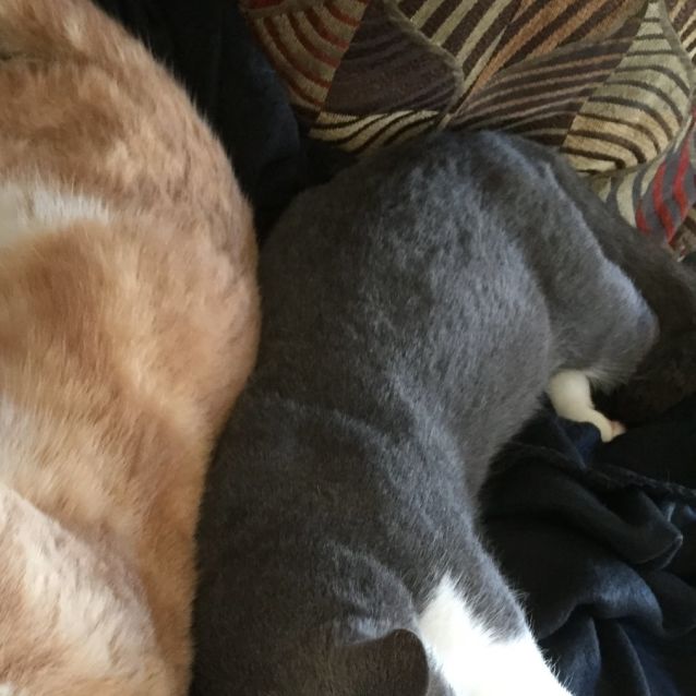 Photo of Flame & Smoke