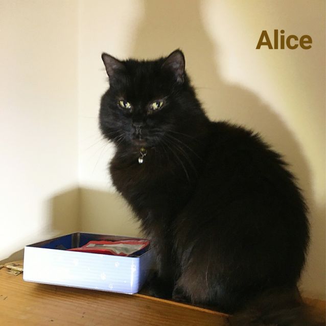 Photo of Alice