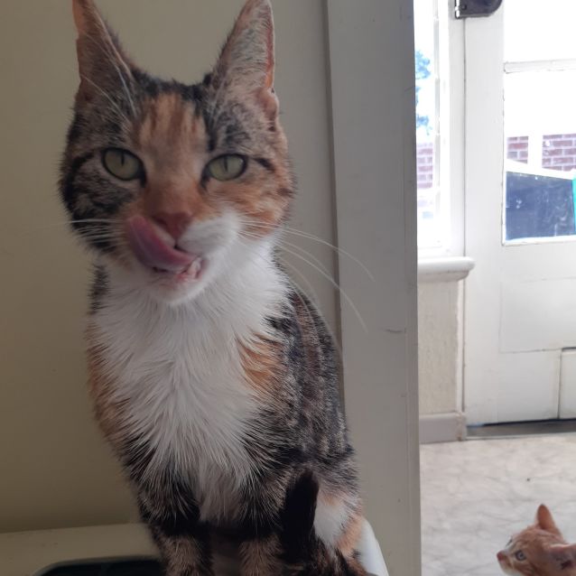 Photo of Octavia   Located In Rosanna