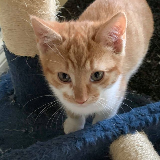 Photo of Ralph