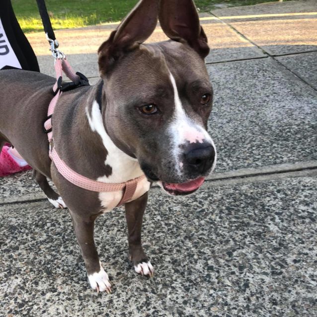 Photo of Remy Dl2477