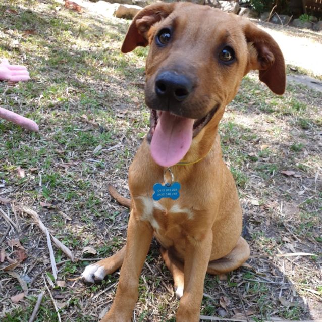 Photo of Cali